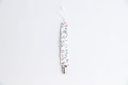 1O6A0835.webp