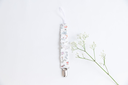 1O6A0840.webp