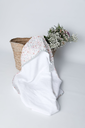 1O6A0986.webp