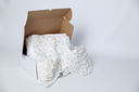 1O6A1090.webp