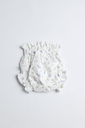 1O6A1026.webp