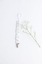 1O6A0827.webp