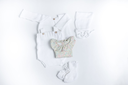 1O6A1321.webp