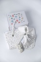 Set Lapin basic